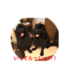 うちの動物園2（個別スタンプ：6）