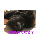 うちの動物園2（個別スタンプ：7）