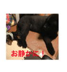 うちの動物園2（個別スタンプ：9）