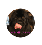 うちの動物園2（個別スタンプ：14）