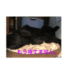 うちの動物園2（個別スタンプ：15）