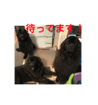 うちの動物園2（個別スタンプ：26）