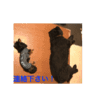 うちの動物園2（個別スタンプ：29）
