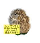 フクロウさんの毎日トーク（個別スタンプ：9）