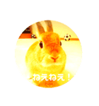 うさぎのMi-Chan！（個別スタンプ：8）