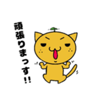 ミカンねこ（個別スタンプ：9）