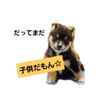 ムウさんの日常スタンプ（個別スタンプ：5）
