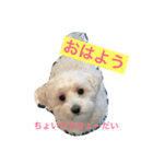 ジンロくんスタンプ♡（個別スタンプ：2）