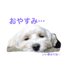 ジンロくんスタンプ♡（個別スタンプ：5）