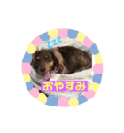 ウラちゃん♡（個別スタンプ：2）
