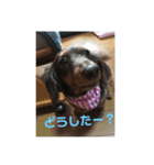ウラちゃん♡（個別スタンプ：3）