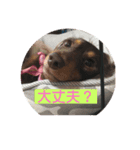 ウラちゃん♡（個別スタンプ：8）