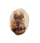 ちび助と仲間達2（個別スタンプ：7）