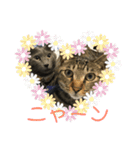 guri＆gura 2（個別スタンプ：1）