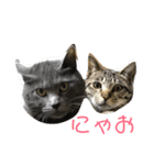 guri＆gura 2（個別スタンプ：9）