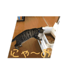 guri＆gura 2（個別スタンプ：10）