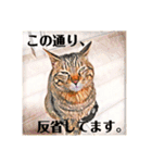 コテツとテトラ（個別スタンプ：10）