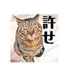 コテツとテトラ（個別スタンプ：11）