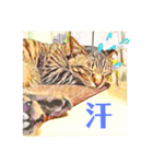 コテツとテトラ（個別スタンプ：12）