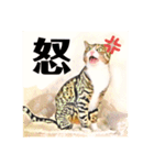 コテツとテトラ（個別スタンプ：18）