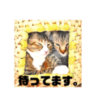 コテツとテトラ（個別スタンプ：20）