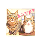 コテツとテトラ（個別スタンプ：27）