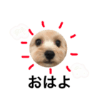 よしだりた君（個別スタンプ：32）