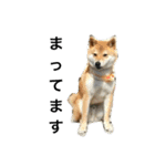 柴犬チビ 日常会話（個別スタンプ：18）