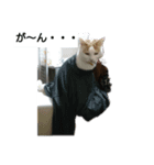 猫のりーちゃん（個別スタンプ：2）