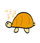 くりきんとんがめ 登場（個別スタンプ：2）