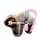 あみのスタンプっ。（個別スタンプ：6）