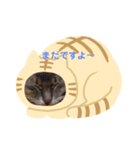かえでかのん（個別スタンプ：3）
