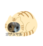 かえでかのん（個別スタンプ：5）