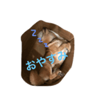うちのワンコはさつき1（個別スタンプ：3）