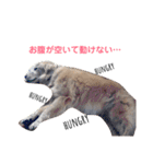 ST☆animal stamp（個別スタンプ：22）