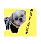 ST☆animal stamp（個別スタンプ：24）