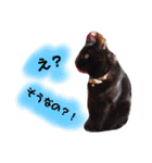 ST☆animal stamp（個別スタンプ：25）
