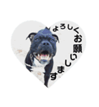 jujuの日常（個別スタンプ：6）