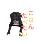 jujuの日常（個別スタンプ：10）