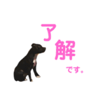 jujuの日常（個別スタンプ：15）