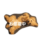愛犬ロッキー（個別スタンプ：6）