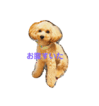愛犬ロッキー（個別スタンプ：8）