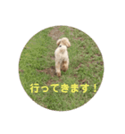 愛犬ロッキー（個別スタンプ：16）
