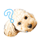 愛犬ロッキー（個別スタンプ：18）