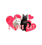 我が家の愛猫(白猫＆黒猫)（個別スタンプ：31）