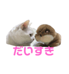 おじいちゃん猫スタンプ（個別スタンプ：8）