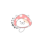 むちむちこた（個別スタンプ：1）