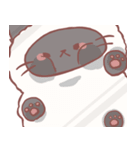 ちゃむサス☆（個別スタンプ：1）
