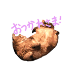 リーとトラオ（個別スタンプ：20）