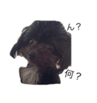 おばっちdog（個別スタンプ：3）